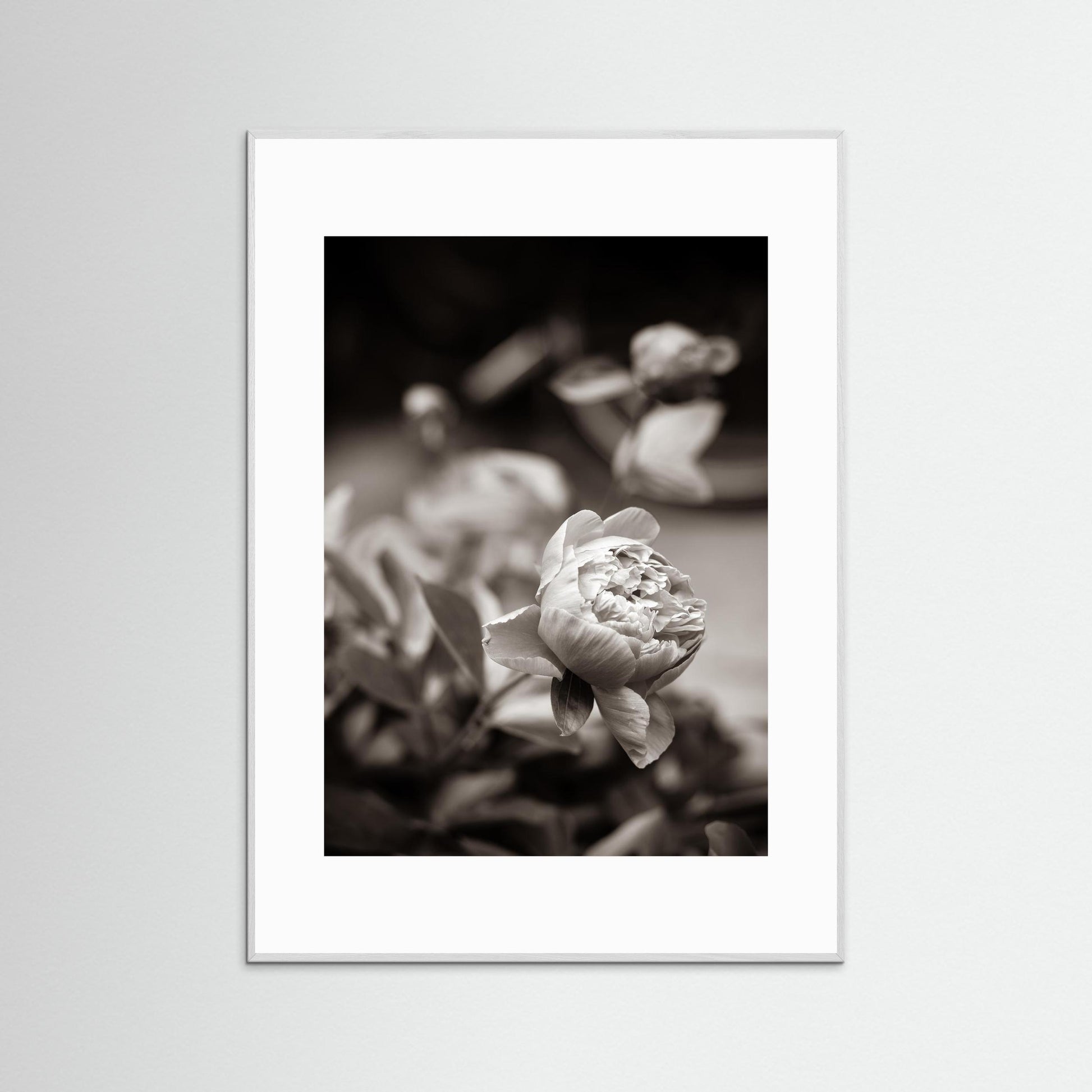 Continue to be - Vintage, Fine Art Photography Print