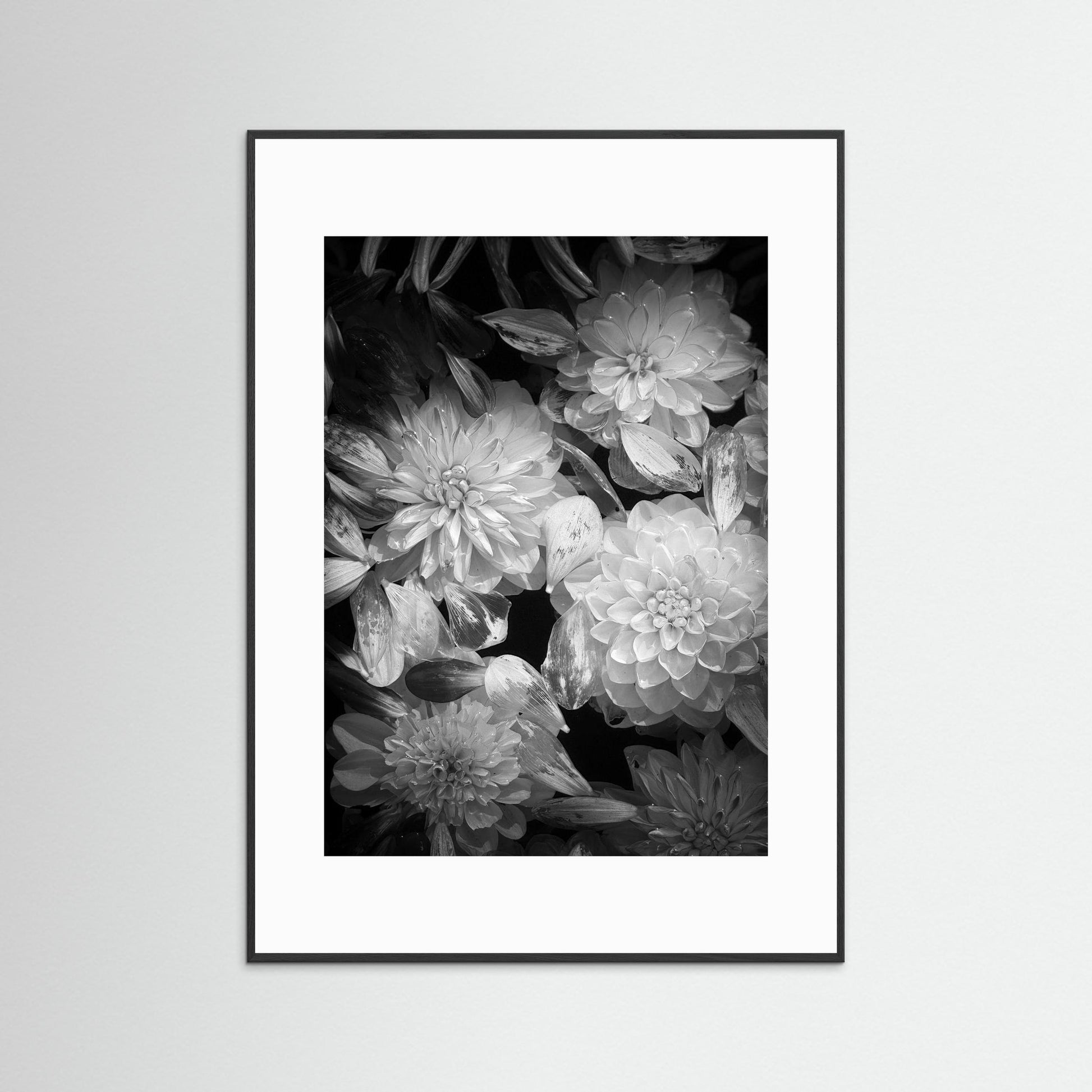 In Connection - Black & White, Fine Art Photography Print