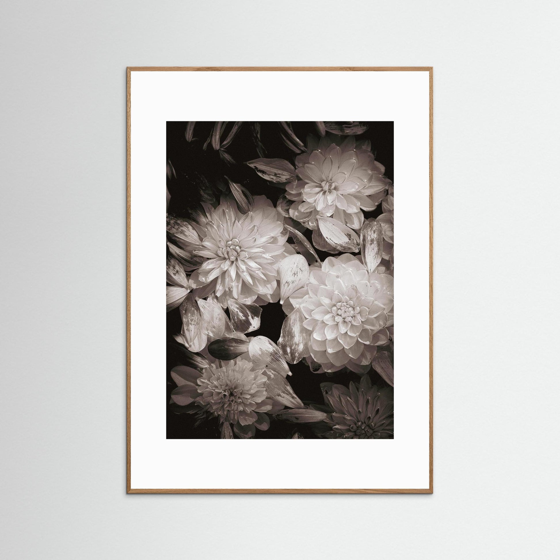 In Connection - Fine Art Photography Print