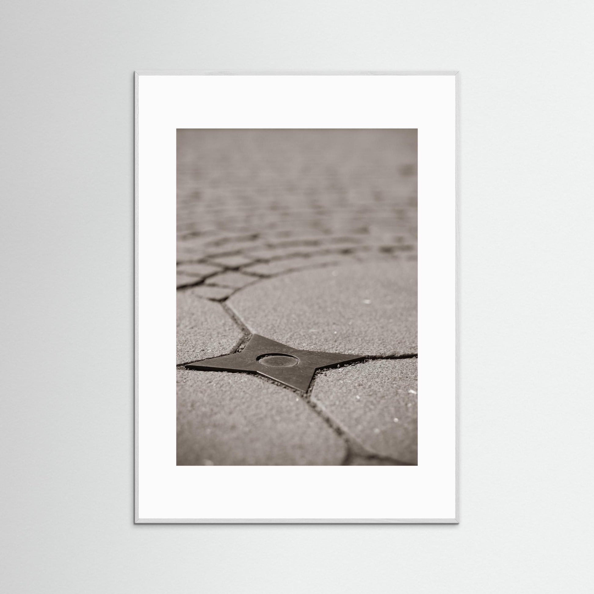 Star Queen - Fine Art Photography Print